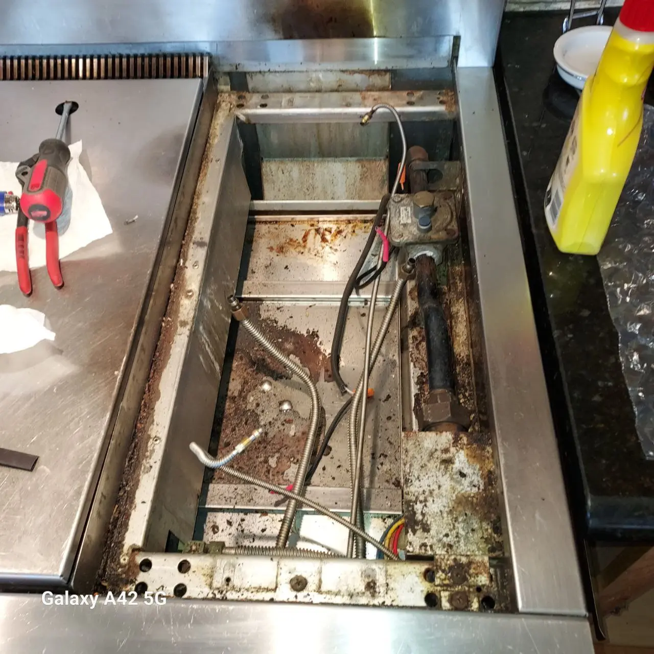 Wolf stove